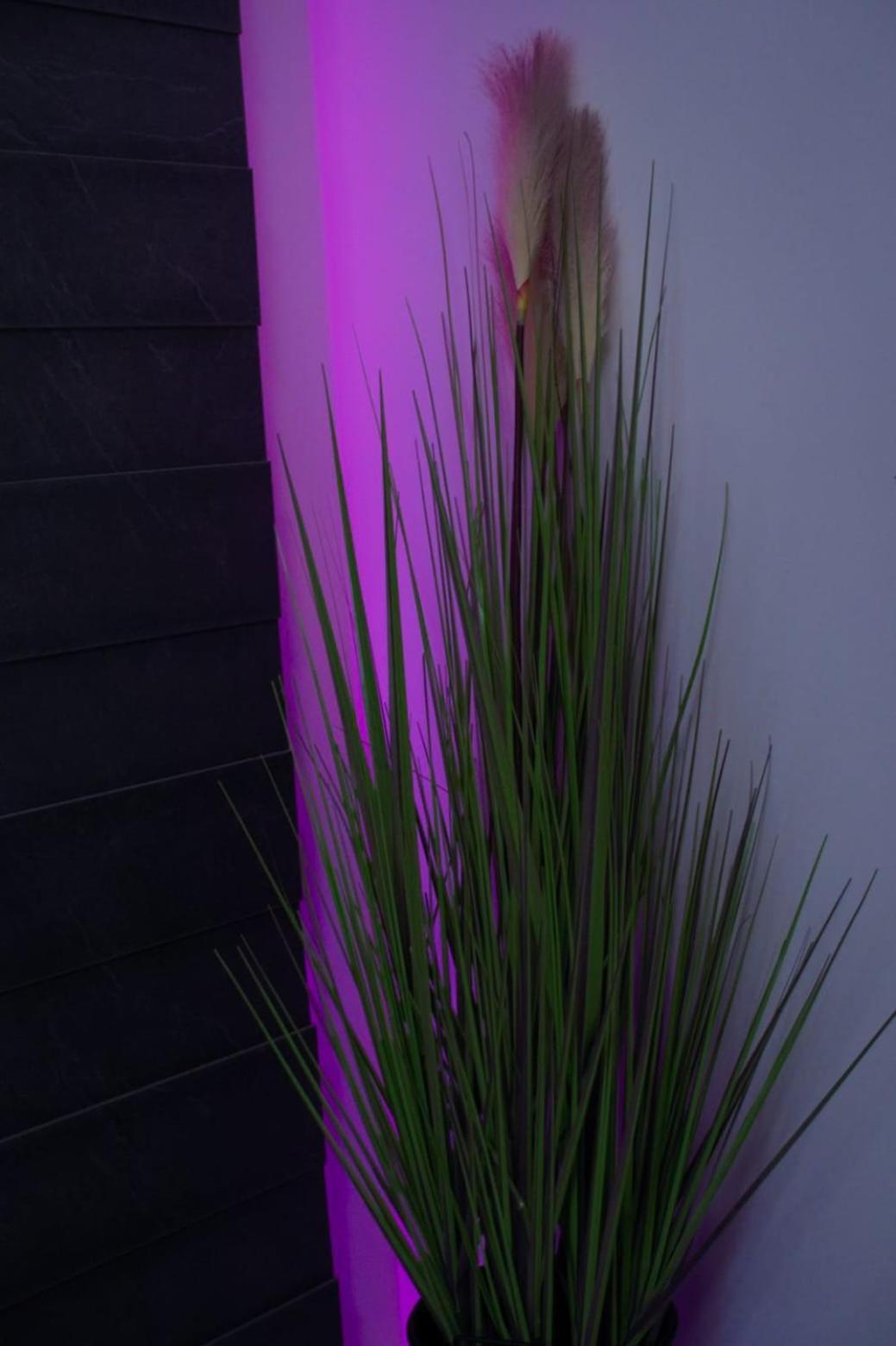 Apartman Mihovil Gospić Exterior foto